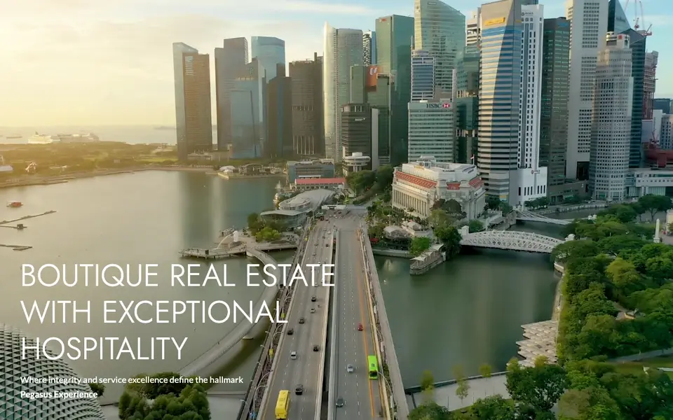 Pegasus Property Solutions website homepage, 4 Oct 2026