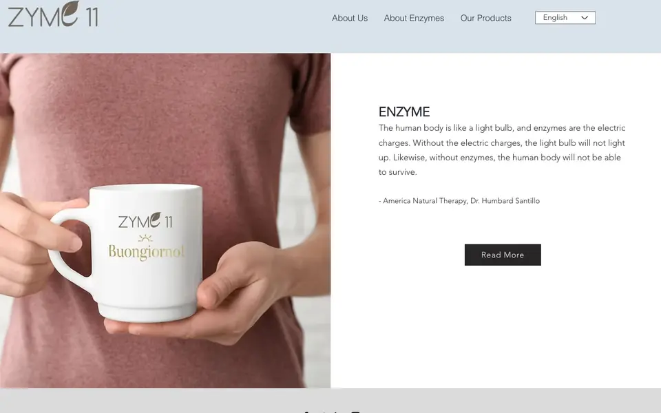 Zyme11 Enzyme website homepage, 4 Oct 2026